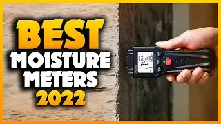 Top 5 Best Moisture Meters You can Buy Right Now [2023]