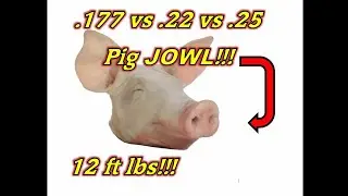 .177 vs .22 vs .25cal (12FPE) Airgun Pellet Test!!!