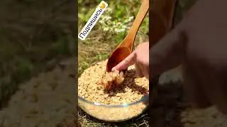 Котлеты без мяса со вкусом мяса #shorts