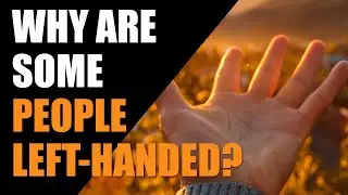 Why Are Some People Left Handed?