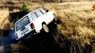 ЕДУТ К ДЕВКАМ ЖЕНИХИ