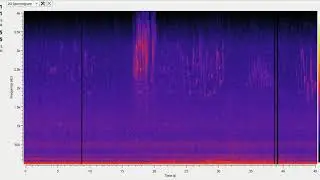 Pajaros y ciudad en el analizador de espectro