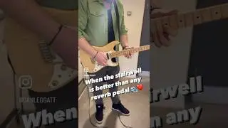 This Stairwell is the best guitar reverb pedal! 