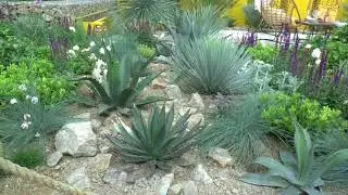 Bloom Gardens Festival 01/06/2018