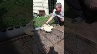 16 мая 2023 г. Учимся пить