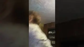 Когда просят что-то сказать маме