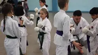 Try Karate with Westwood