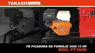 PICADORA TAKASHI PT3000K