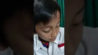 proses pencernaan manusia