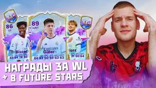 НАГРАДЫ ЗА WL + 8 FUTURE STARS | FC 24