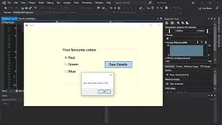 how to use RadioButtons GroupBox and add message box in visual studio windows form application 2019
