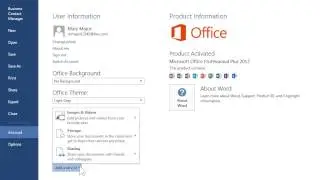 Word 2013 Add a Connected Service