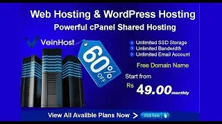 VeinHost Hosting and Free Domain Name