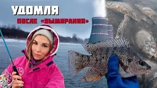 РЫБАЛКА С ПОДРУГОЙ В УДОМЛЕ ПОСЛЕ ЗАМОРА ТИЛЯПИИ 🐟👻
