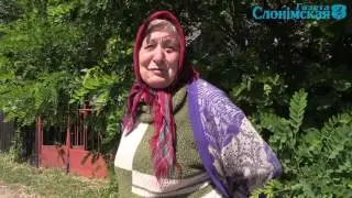 В деревне Алексичи расцветает борщевик