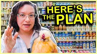 Costs are Skyrocketing but You Can Still Keep Chickens