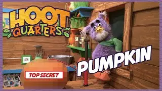 Pumpkin | Oliver's Secret Garden Secrets