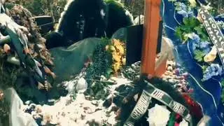 Егор Клинаев и Лёля Баранова || Туда где небеса