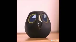 This little owl functions as a home surveillance camera..
