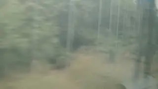 Train journey 