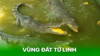 VÙNG ĐẤT TỨ LINH | Nhà Hai Lúa