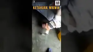 Ketahuan wik wik anak sendiri