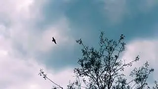 ✨МЕСТО СИЛЫ РОДА✨ мощный энергетический сеасн
