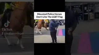 Police Horses Don't Like LGBT Flag!