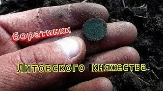 КОП МОНЕТ! (нашел боратос) (Литовского княжества) Поиск с металлоискателем) КОП и РЫБАЛКА