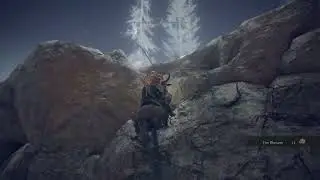 Elden Ring | When you wonder what is this sound