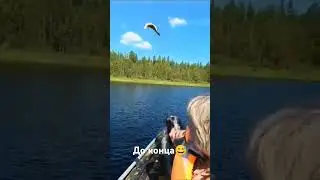 И такое бывает, осторожно в видео присутствует нецензурная лексика