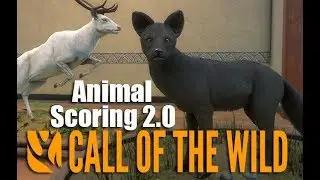 Animal Scoring 2.0 & TruRACS Water Buffalo | theHunter: Call Of The Wild