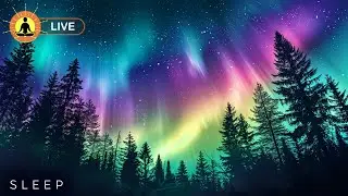 This live stream has ended. We will release a new version of this live stream soon. See link below