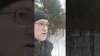 Как бы от памятнику Гоголю в Санкт-Петербурге