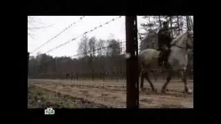 Смотр - 2012.06.30 (Зеленые фуражки Республики Беларусь)
