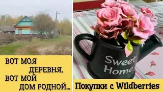 Наша ЛЮБИМАЯ ДОРОГА❤ // ЧТО ЗАКАЗАЛА С WILDBERRIES 🛍