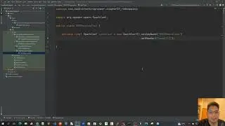 37 - Spark RDD Transformations - Unit Test Code Demo