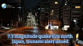 Two powerful 7.3 and 6.4 magnitude earthquakes off the coast of Fukushima in northern Japan.