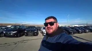 ОБЗОР ПОЕЗДКИ в ГРУЗИЮ на рынок AUTOPAPA ,забираем машины из порта,пока все на КАРАНТИНЕ
