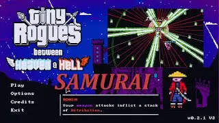 Samurai is one of the strongest characters in Tiny Rogues