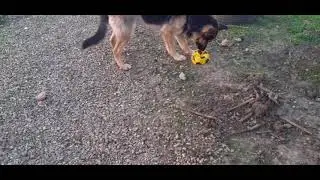 Играем с мячом😆