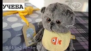 Бэби Басик занимается )😘он научился говорить!! Вообщем Басик и Я☺️.