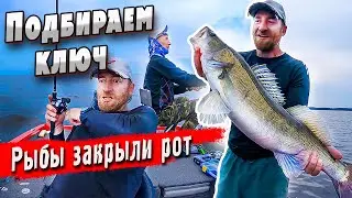 Видеть не значит поймать! | Ловим судака с Паноптикс
