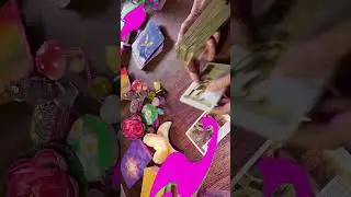 Video interattivo: ritrova il vero significato🌲🌿🌚🌜🪺🪨🐚
