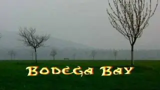 Animatronixx - Bodega Bay (Ambient, Sound Collage)
