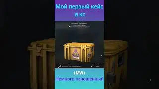С ПЕРВОГО КЕЙСА🤯 FROM FIRST CASE🤯 (CSGO) #shorts