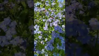 VID 20200530 152014