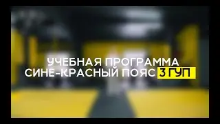 3 ГУП - СИНЕ-КРАСНЫЙ ПОЯС.