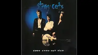 Stray Cats 
