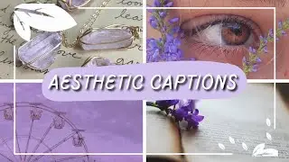 Aesthetic Captions for Instagram | 15+ aesthetic quotes and captions